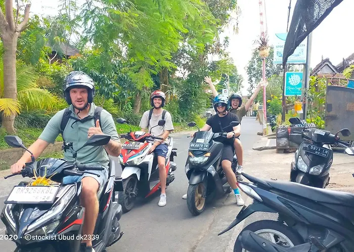 Villa Danu House *